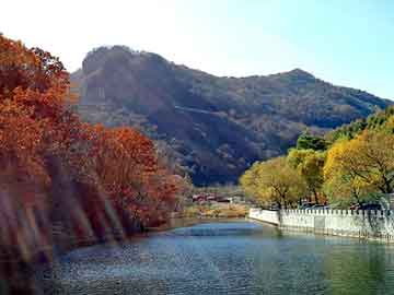 鹤岗打胎药含有黄体酮吗（打胎药里面有什么成分）